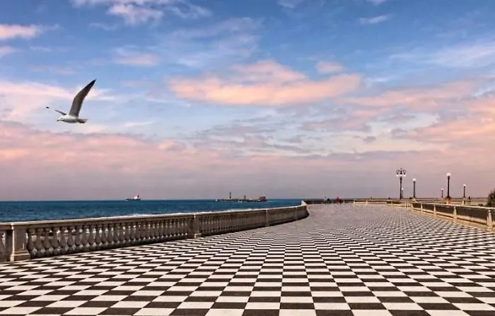 Il Porto Di Ale E Kat Livorno